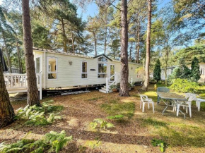 8 Berth Caravan For Hire At Wild Duck Holiday Park In Norfolk Ref 11269Mc